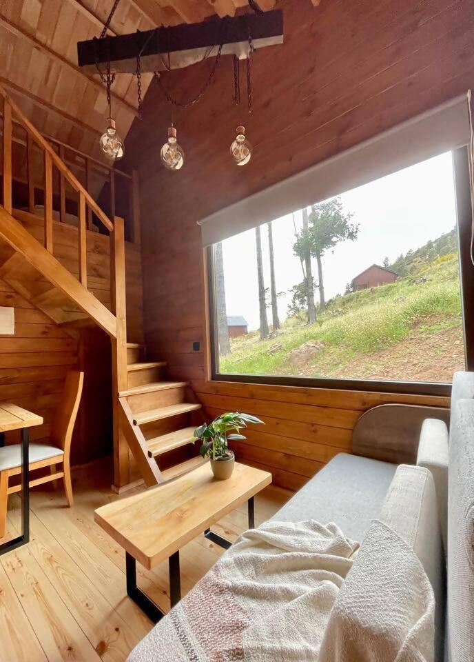 Готель Mountain Eco Shelter 7 Фуншал Екстер'єр фото